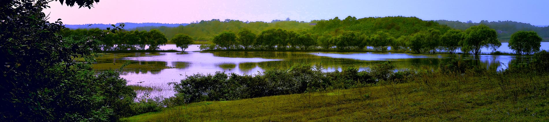 յʤ_XJM0893.jpg